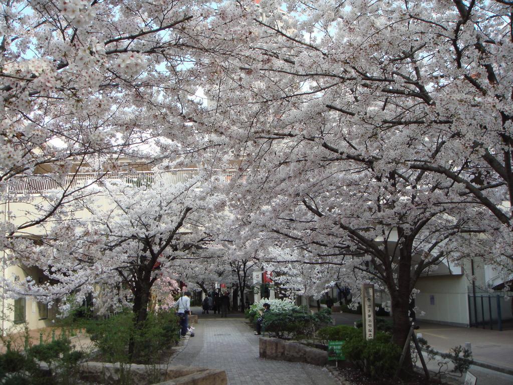 Hotel Wakamizu Takarazuka Exterior foto